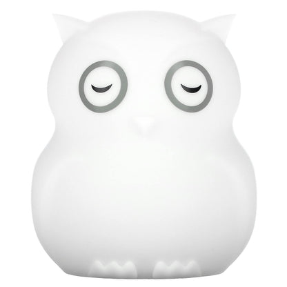 Bblnv - Night Light Owl - Touch And Remote Control