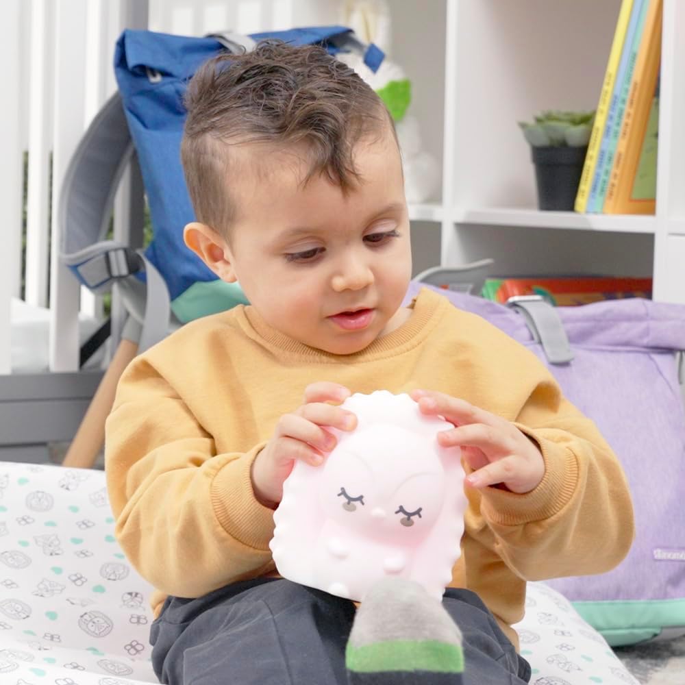 Bblnv - Night Light Hedgehog With Touch And Remote Control