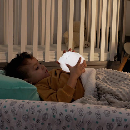 Bblnv - Night Light Hedgehog With Touch And Remote Control