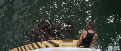 Great White Waters