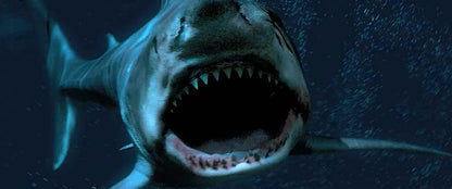 Great White Waters