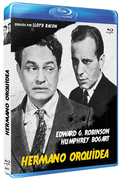 Hermano Orquidea - (Italian Import)