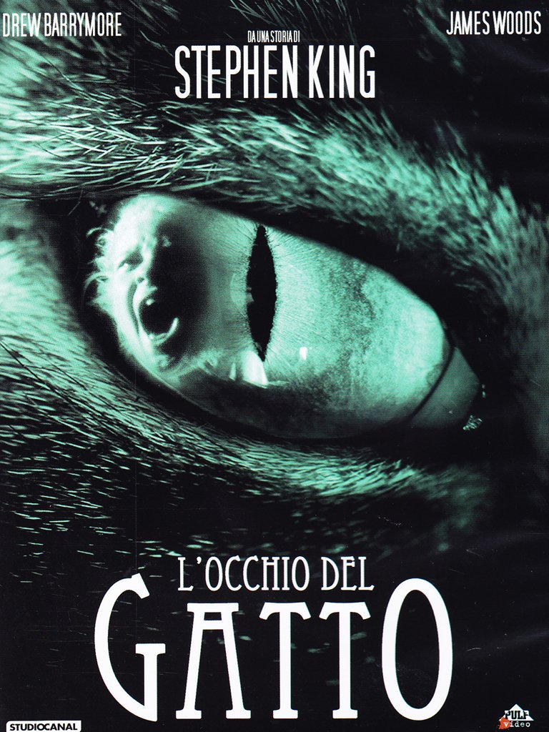 l'occhio del gatto dvd Italian Import