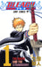 [Bleach 1]