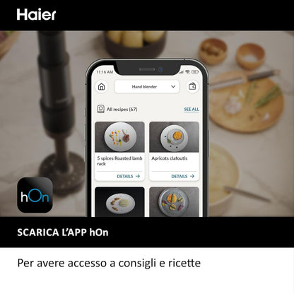 Haier Hand Blender  Hhb5B2 011
