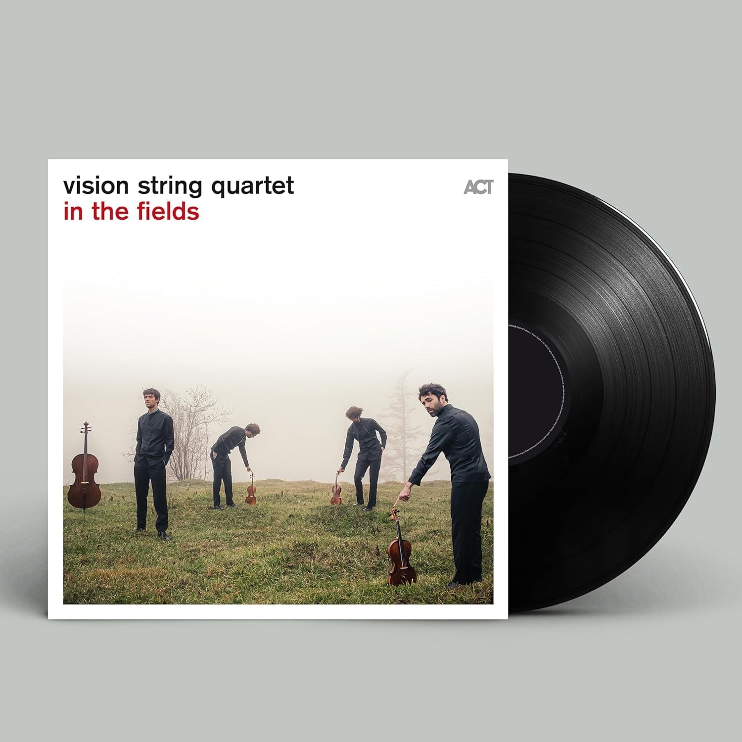 Vision String Quartet: In the Fields
