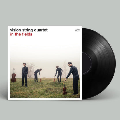 Vision String Quartet: In the Fields