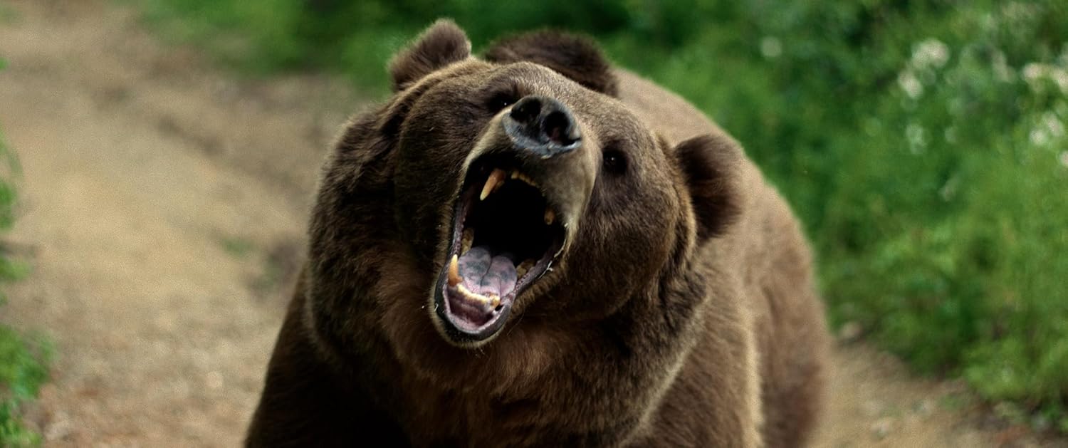 No Escape - Grizzly Night