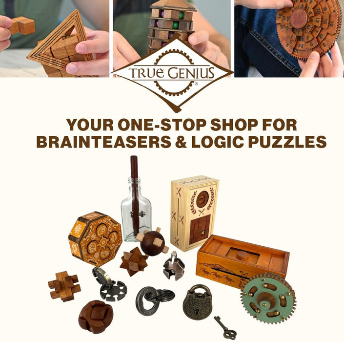 Project Genius Grecian Bottle Brain Teaser Puzzle, Wooden