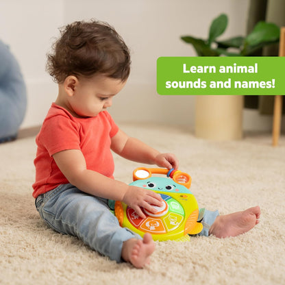 Bright Starts Safari Surprise Multisensory Toy, Light-Up Electronic Baby Toy with Animal Sounds and Melodies, Press for Cause and Effect Discovery, Unisex, 6 Months+