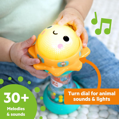 Bright Starts, Linterna Just for Sun con Sonidos de Animales, Cuentas Estilo Palo de Lluvia y Espejo, Juguete Interactivo Unisex para Bebés Desde 6 Meses