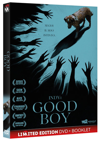 Good Boy (Dvd+Booklet) - (Italian Import)