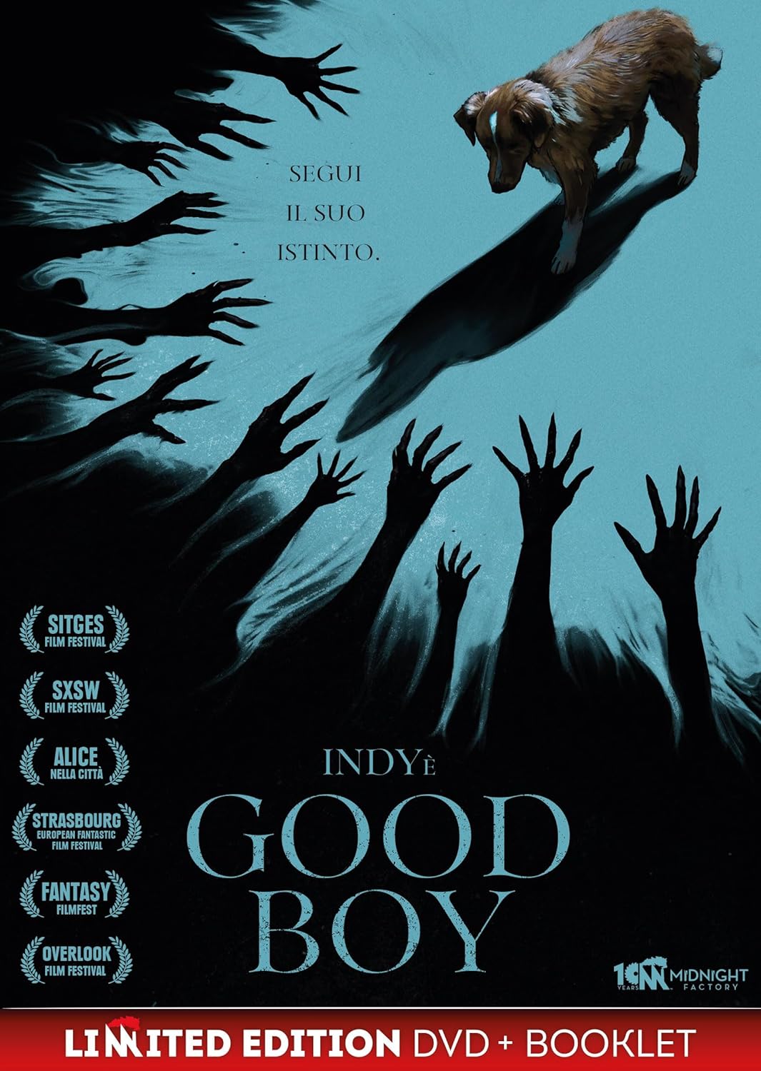 Good Boy (Dvd+Booklet) - (Italian Import)