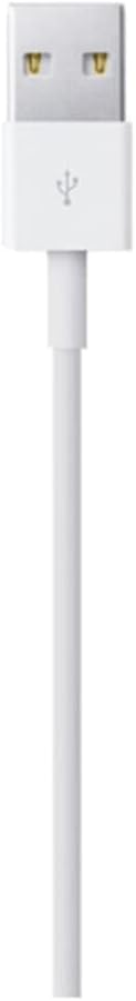 Apple Lightning to USB Cable (0.5 m