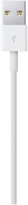 Apple Lightning to USB Cable (0.5 m