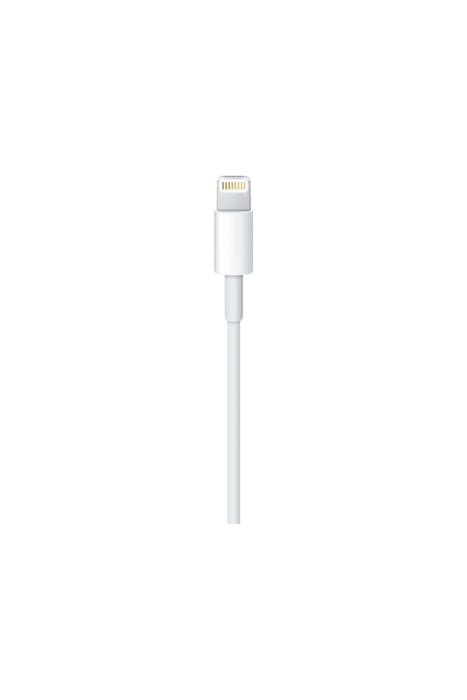 Apple Lightning to USB Cable (0.5 m