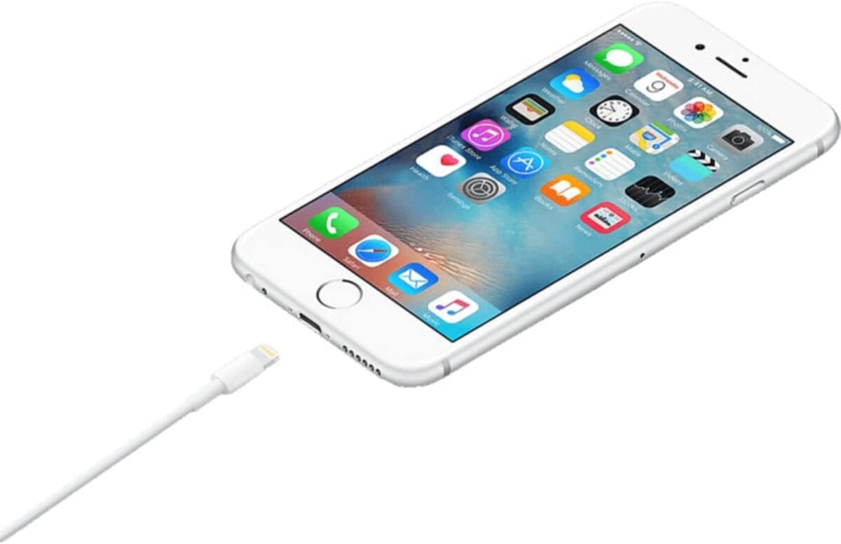 Apple Lightning to USB Cable (0.5 m