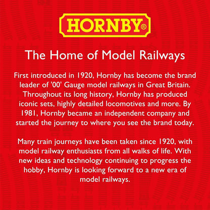 Hornby TT:120 TT6047 Fina '136' - 12T Tank Freight Wagon Era 4 Model Train Rolling Stock Railroad Car