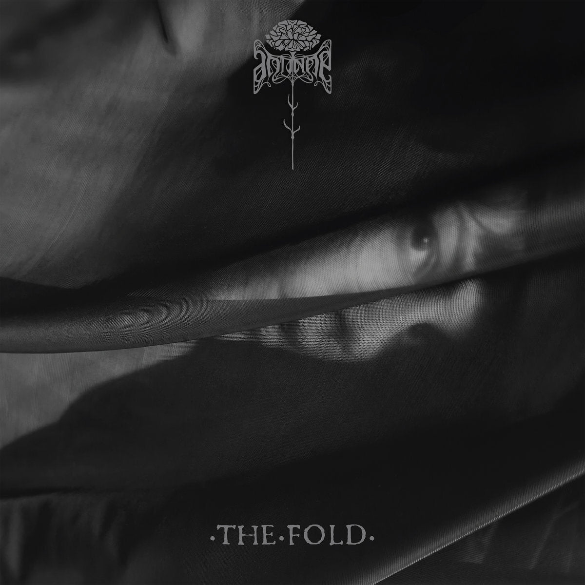 Antinoë: The Fold