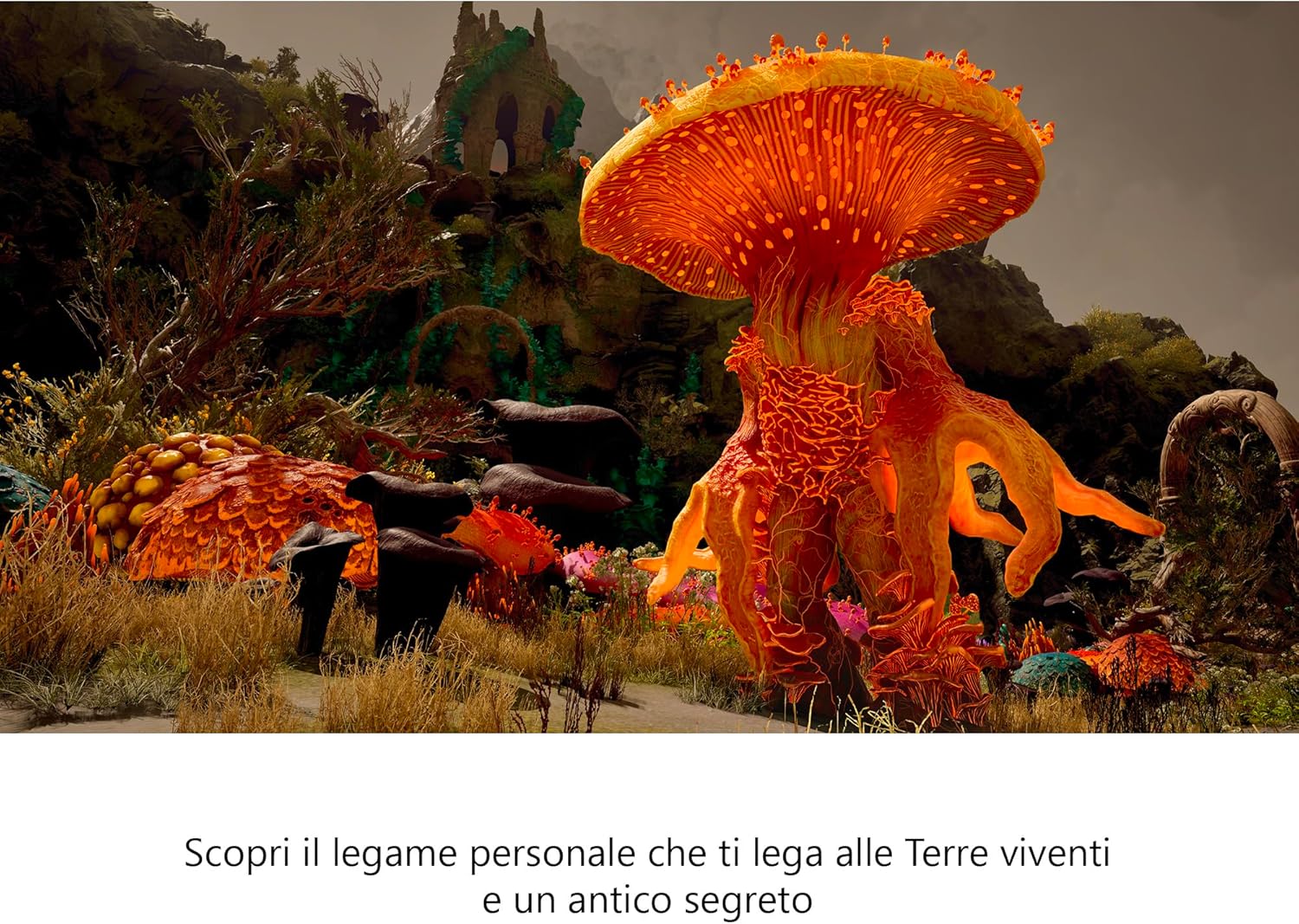 Xbox - Avowed - Edizione Premium SteelBook - Xbox Serie X|S e Windows (codice digitale nella scatola