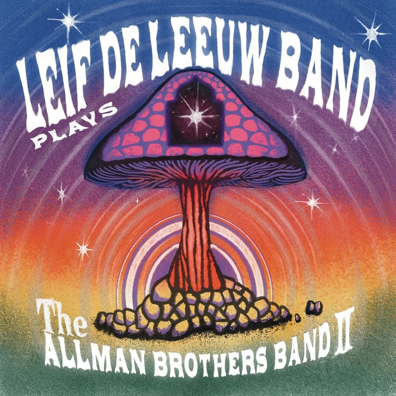 Plays The Allman Brothers Band II