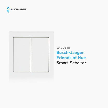 Abb Busch-Jaeger Friends Of Hue - Lichtschakelaar 6716 Uj-84 Verkeerswit Glanzend