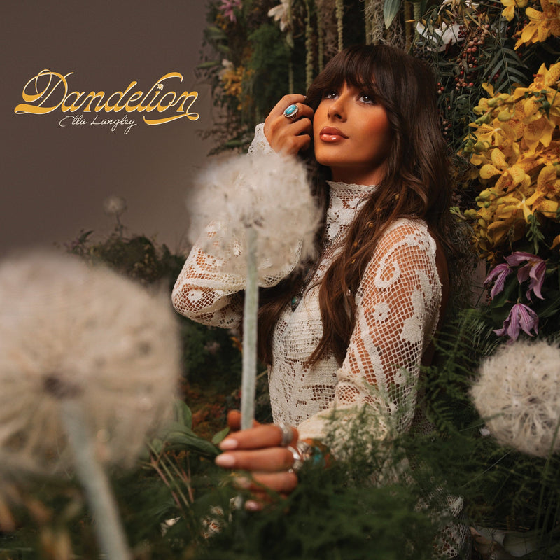 Dandelion