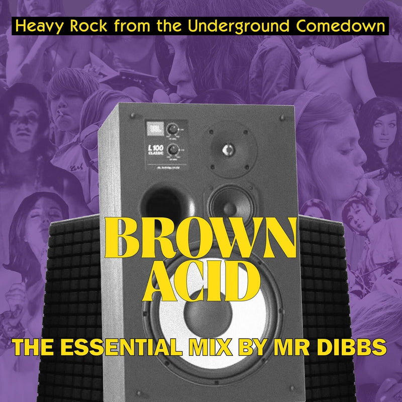 Brown Acid: The Essential Mix By Mr Dibbs