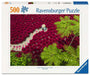 Ravensburger - Structures Of Nature 500P (12001707)