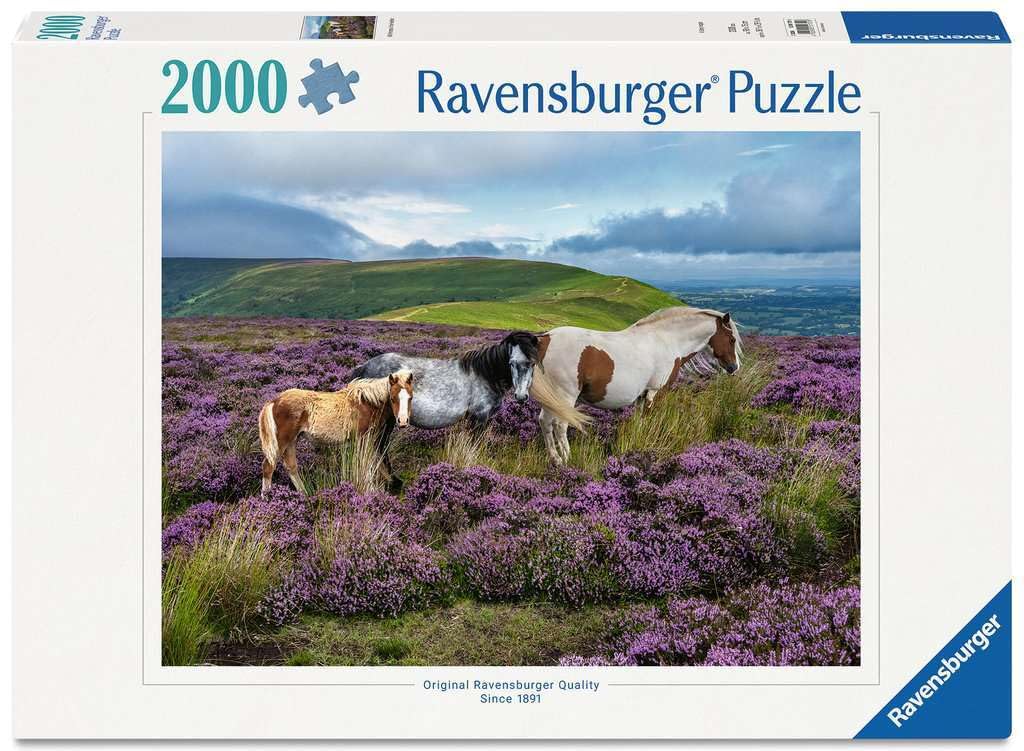 Erwachsenenpuzzle 2000 Teile - Wildpferde in der Heide