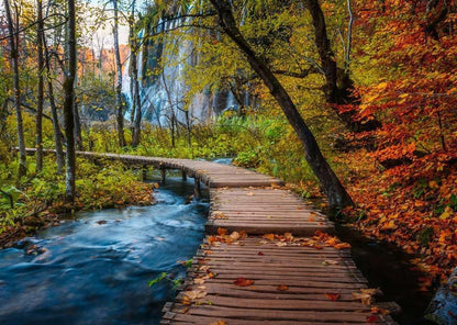 Erwachsenenpuzzle 1000 Teile - Herbstlicher Waldweg: Beautiful Walkways