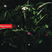 Beautiful Days - As There Is No Tomorrow