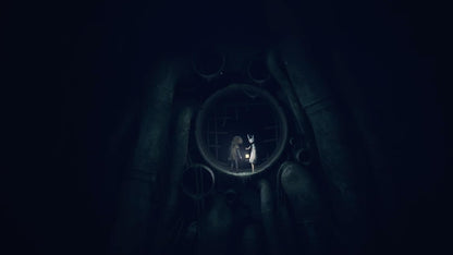 Reanimal - Deluxe Edition /Switch 2