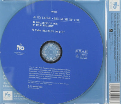 Because Of You