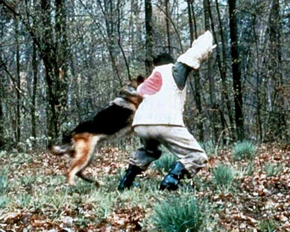 Gejagt und in Ketten gelegt (Dogboys) / Spannendes Gefängnisdrama mit Starbesetzung (Pidax Film-Klassiker