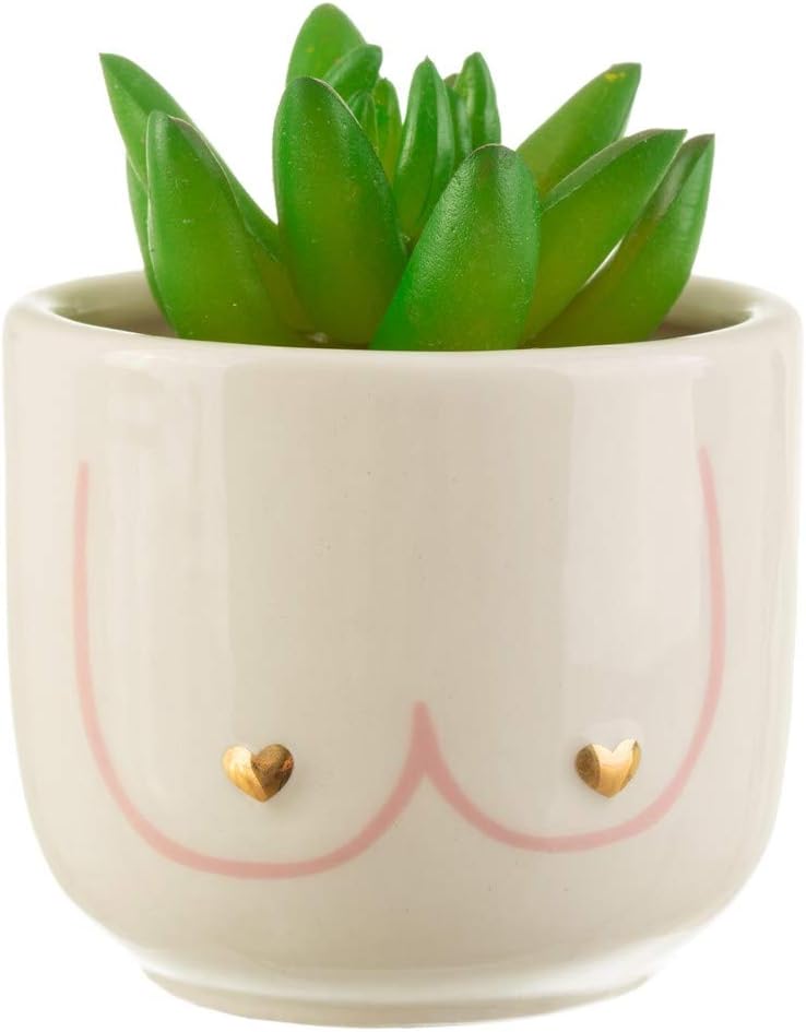Mini Girl Power Boobies Planter