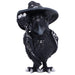Nemesis Now Eliwing Collectible Cult Cuties Figurine 10.4cm – Gothic Fantasy Raven Statue with Witch Hat, Dark Fantasy Decor & Mystical Display Piece