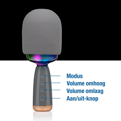 Karaoke Microfoon Speaker