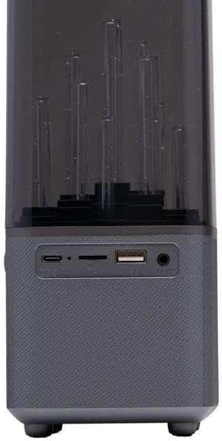 Bluetooth Speaker met Danslicht