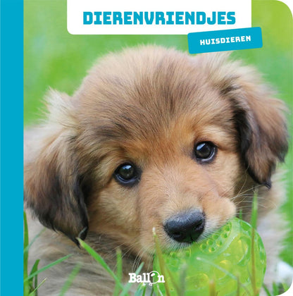 Wins Holland - Dierenvriendjes Kartonboekje Huisdieren