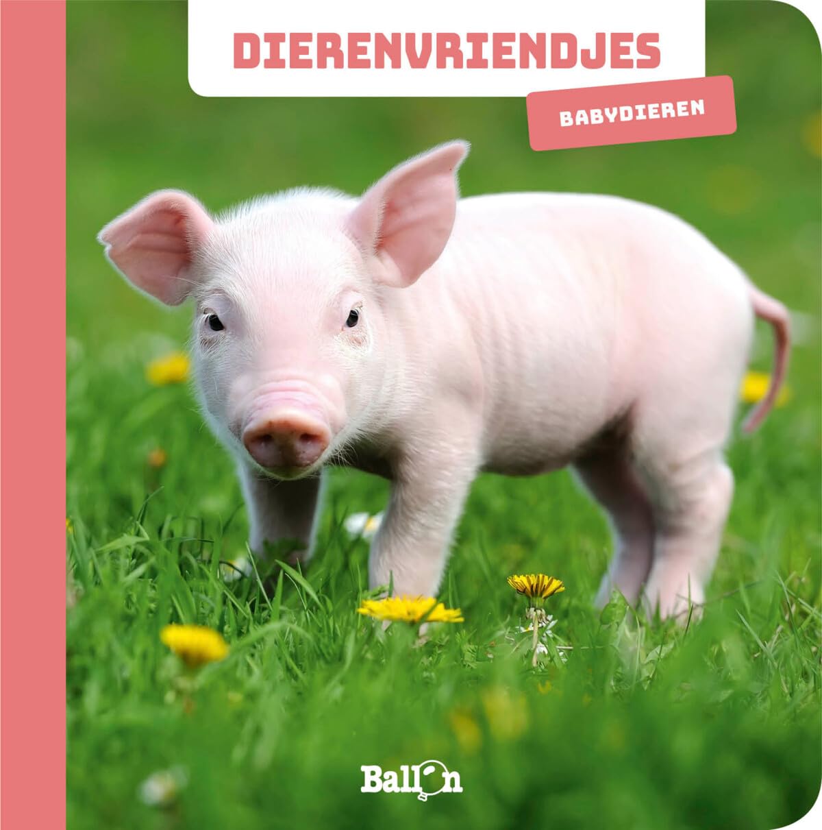Wins Holland - Dierenvriendjes - Fotokijkboek Babydieren