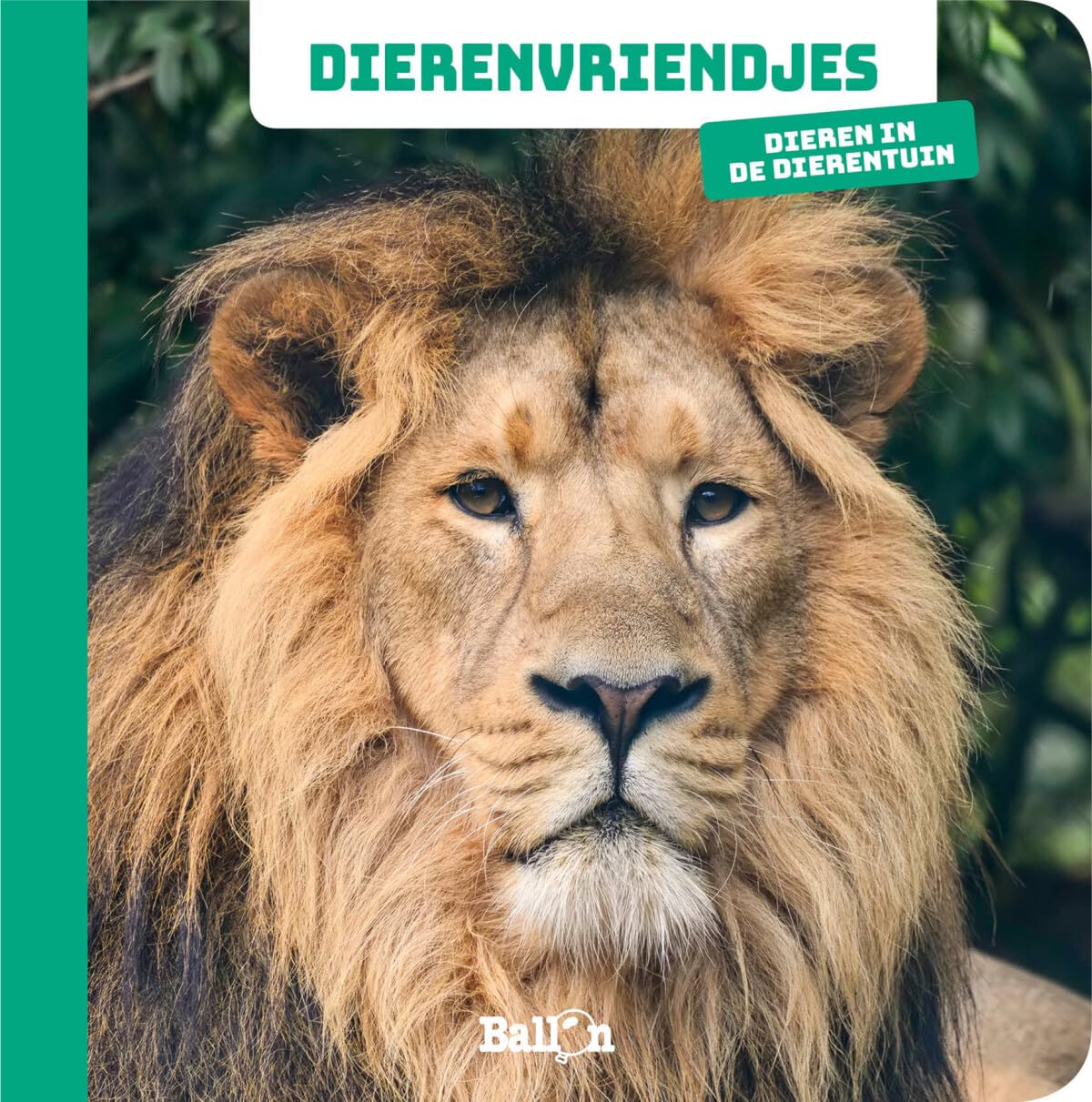 Wins Holland - Dierenvriendjes - Fotokijkboek Dieren in de dierentuin