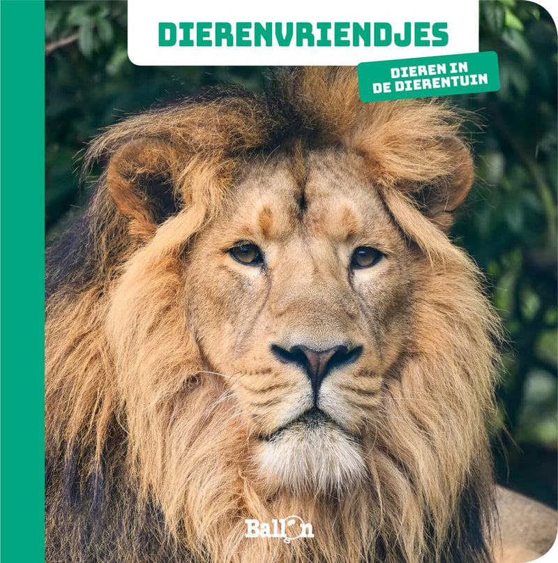 Wins Holland - Dierenvriendjes - Fotokijkboek Dieren in de dierentuin