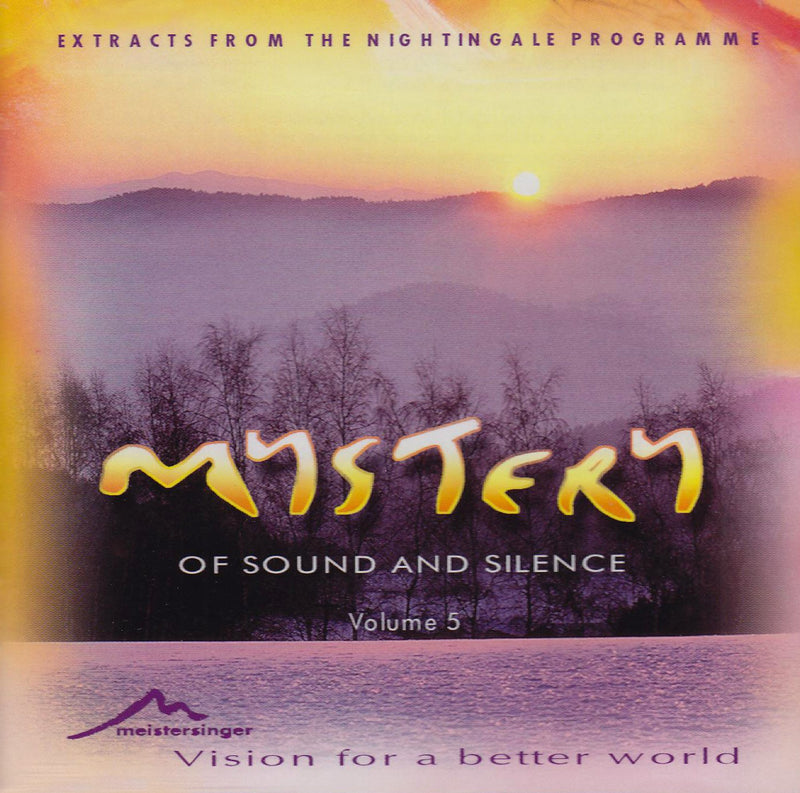 Mystery Of Sound And Silence 5