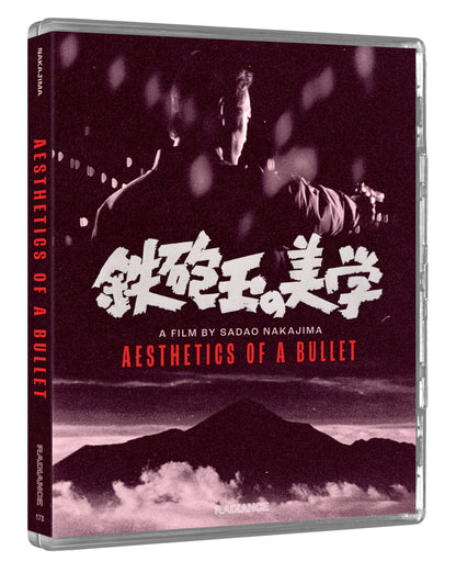 Aesthetics of a Bullet
