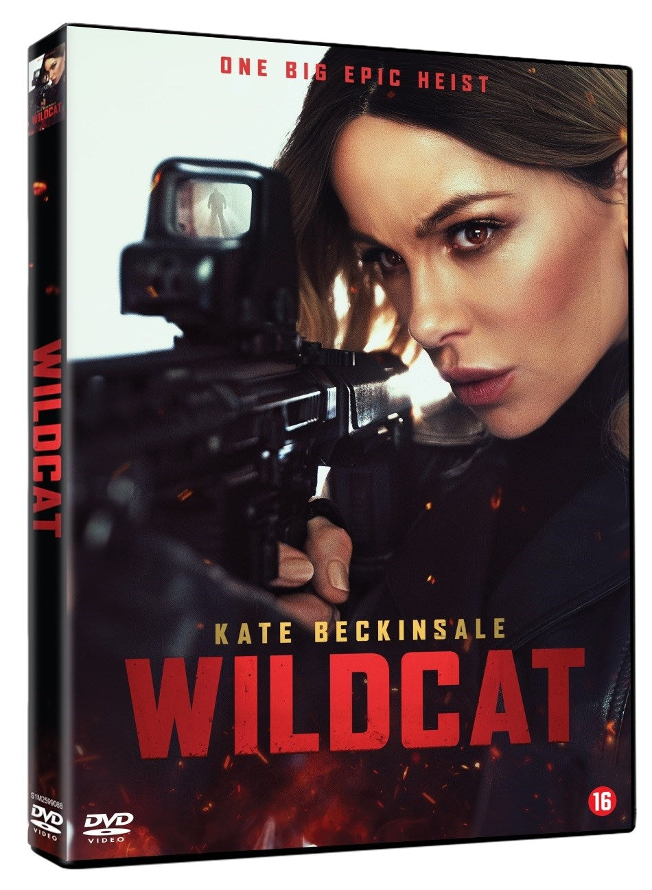 Wildcat