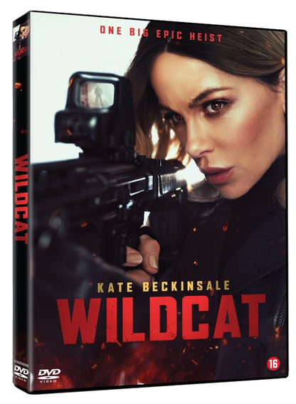Wildcat