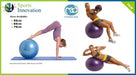 Fitness Mad Swiss Gym Ball - 300Kg Swiss Ball with Pump and DVD 55cm,65cm,75cm