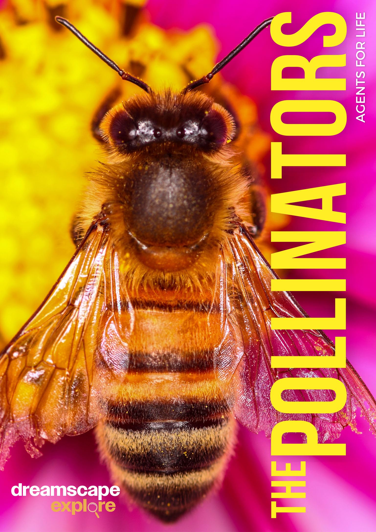 Dreamscape Explore: The Pollinators, Agents For Life
