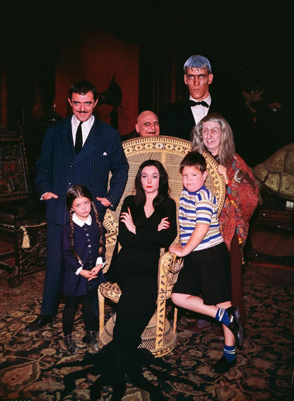 ADDAMS FAMILY - ADDAMS FAMILY - DIE KOMPLETTE SERIE - DIGIPAKS MIT SCHUBER